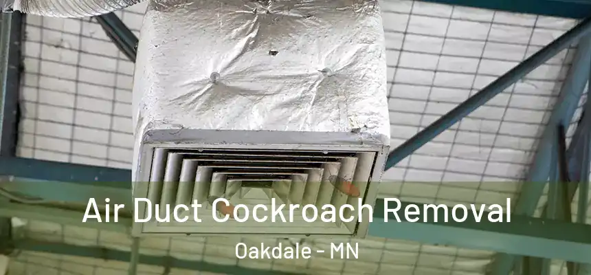  Air Duct Cockroach Removal Oakdale - MN