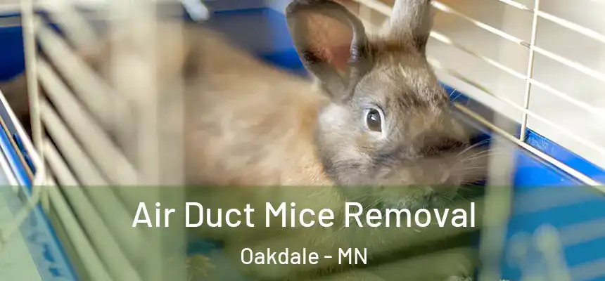 Air Duct Mice Removal Oakdale - MN