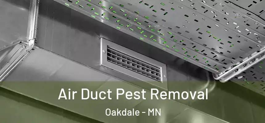 Air Duct Pest Removal Oakdale - MN