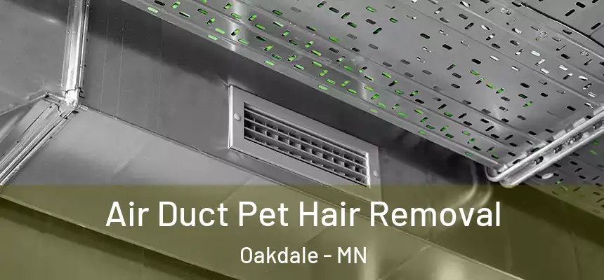  Air Duct Pet Hair Removal Oakdale - MN