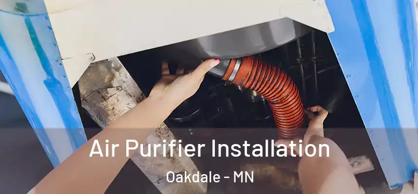  Air Purifier Installation Oakdale - MN