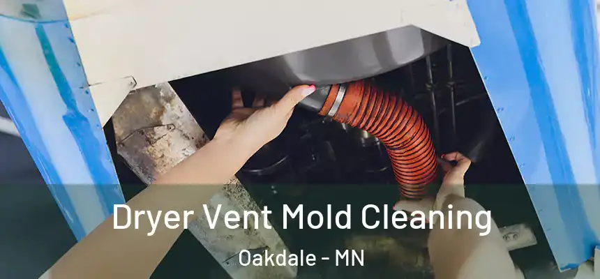  Dryer Vent Mold Cleaning Oakdale - MN