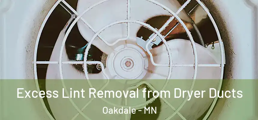  Excess Lint Removal from Dryer Ducts Oakdale - MN
