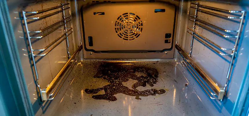 Our Dryer Vent Mold Cleaning Services in Oakdale, MN