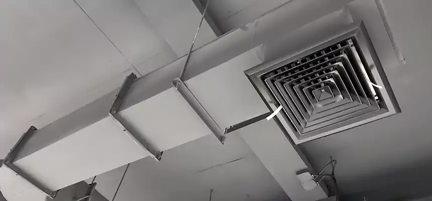 Our Pest Removal From Ducts Services in Oakdale, MN