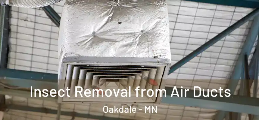 Insect Removal from Air Ducts Oakdale - MN