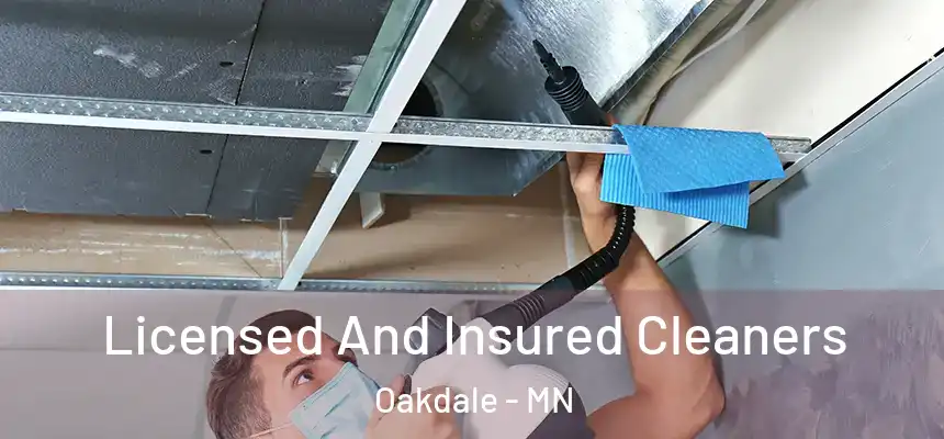 Licensed And Insured Cleaners Oakdale - MN