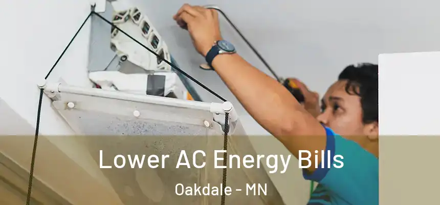 Lower AC Energy Bills Oakdale - MN