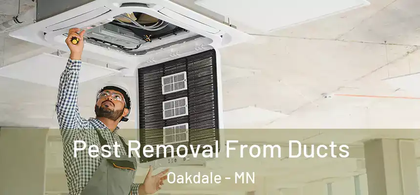  Pest Removal From Ducts Oakdale - MN