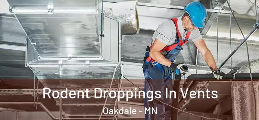  Rodent Droppings In Vents Oakdale - MN