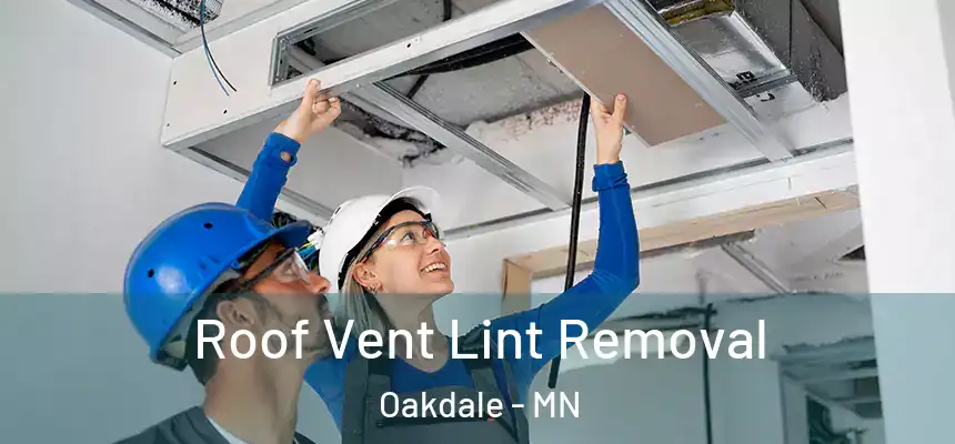 Roof Vent Lint Removal Oakdale - MN