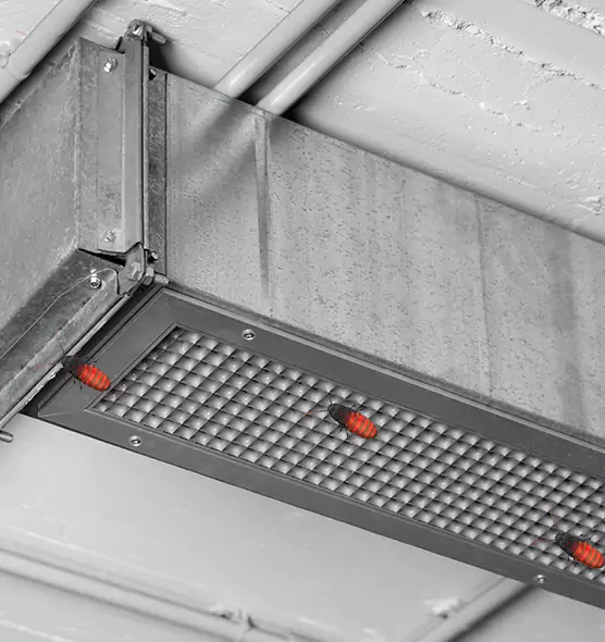 About Air Duct Cockroach Removal in Oakdale, MN
