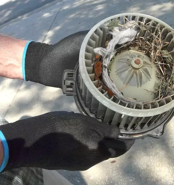 About Air Duct Mice Removal in Oakdale, MN