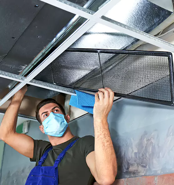 Professional Air Duct Pollen Cleaning in Oakdale, MN