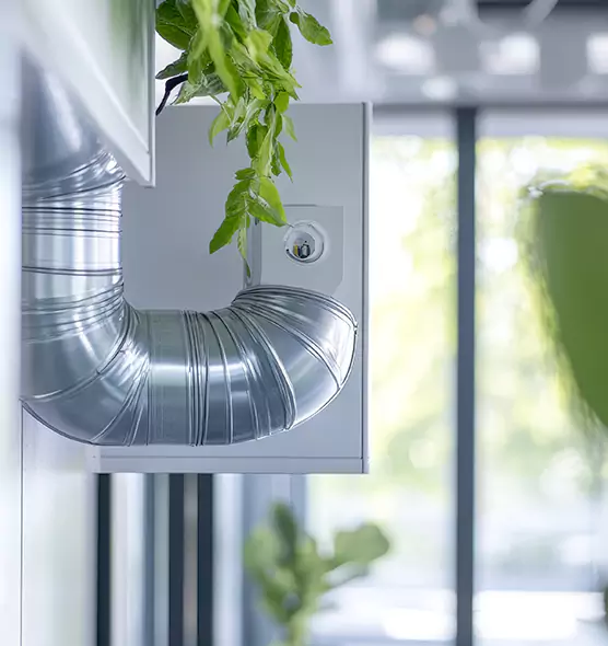 Professional Eco-Safe Dryer Vent Cleaning in Oakdale, MN