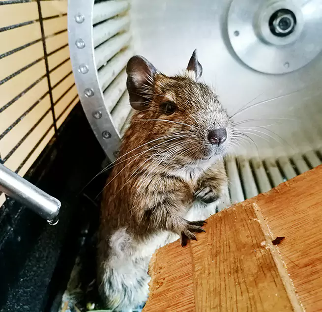 Why Homeowners & Businesses Trust Us Oakdale, MN?