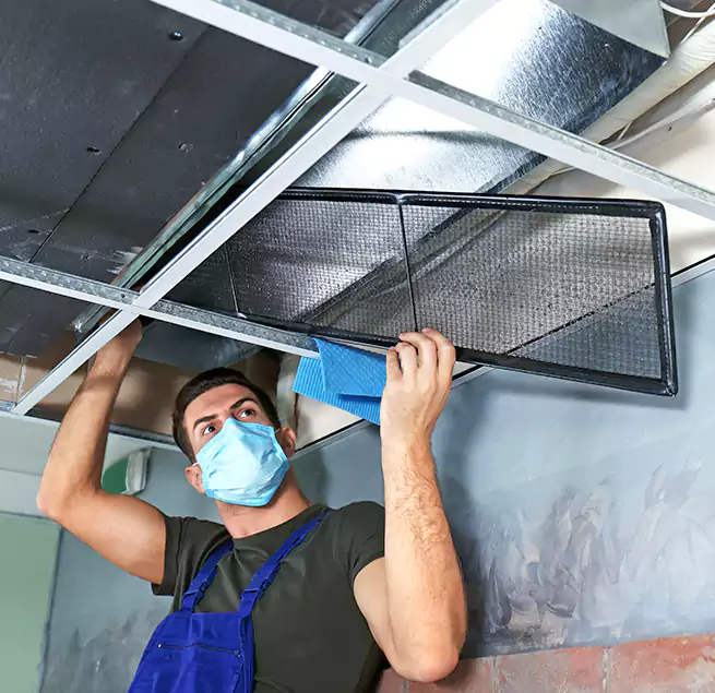 Why Homeowners Businesses Trust Us in Oakdale, MN