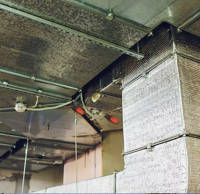 Why Homeowners & Businesses Trust Us Oakdale, MN?